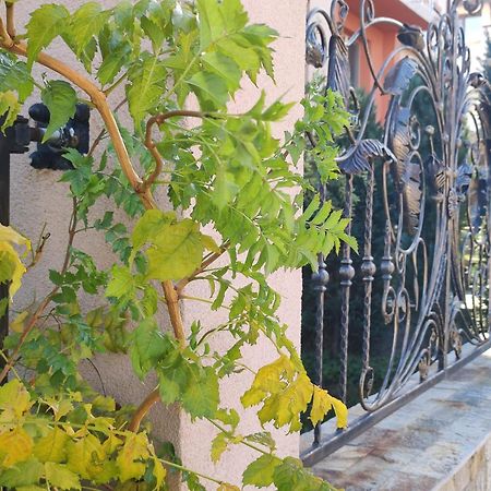 Guest House Via Sapareva Banya Bagian luar foto