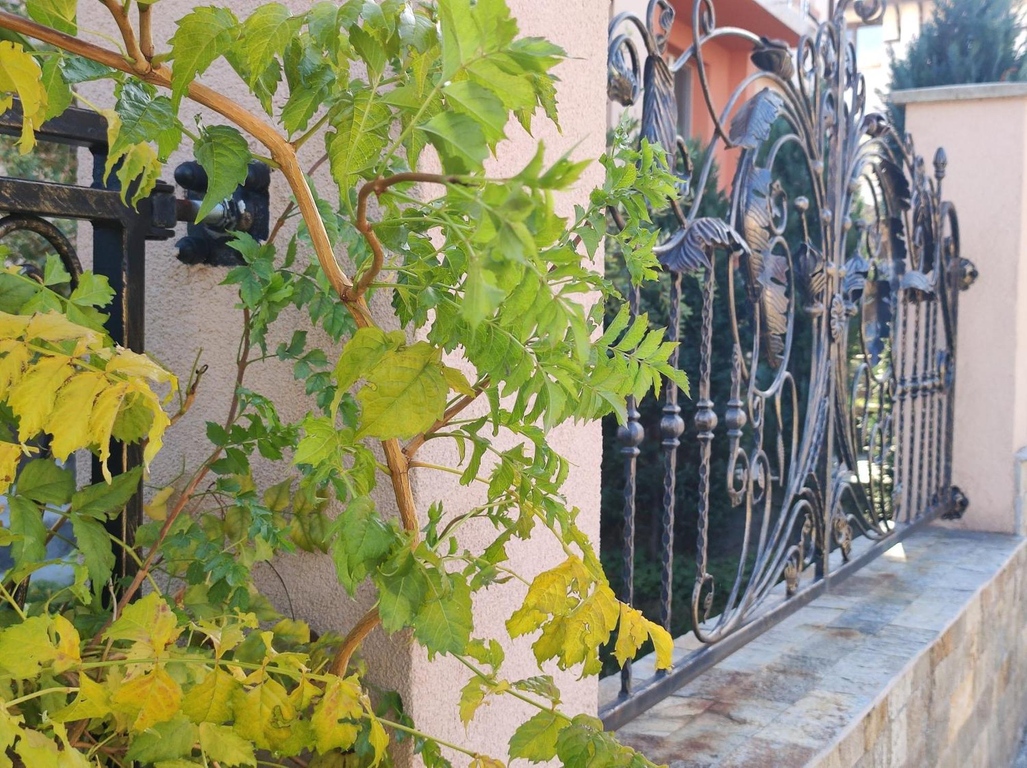 Guest House Via Sapareva Banya Bagian luar foto